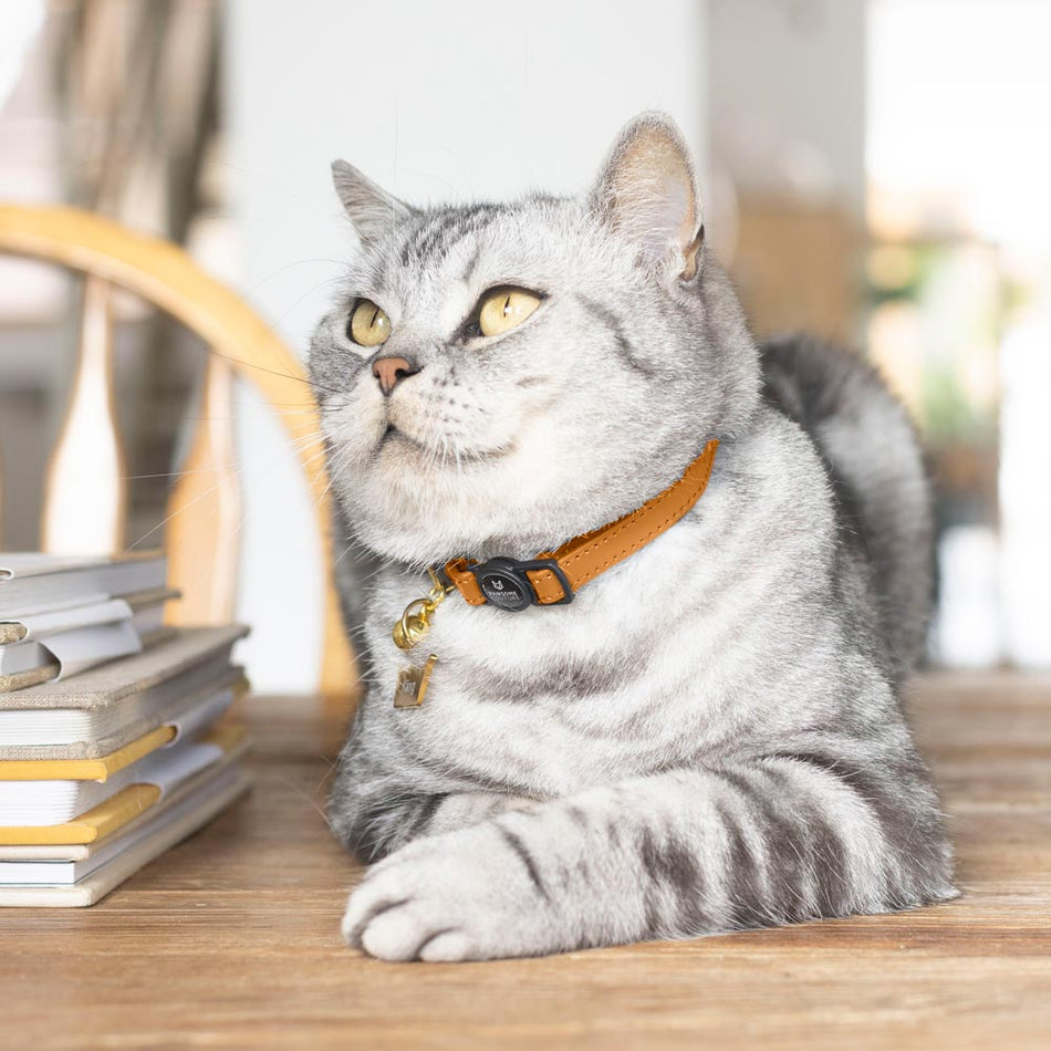 Tan Luxury Leather Cat Collar