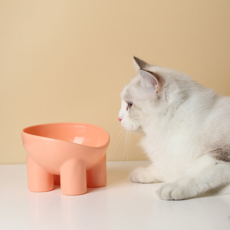 Bright Tilted Pet Feeder Bowl