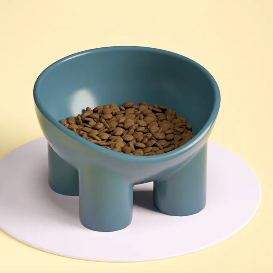 Bright Tilted Pet Feeder Bowl