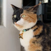 Flower Pet ID Tag