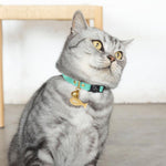 Turquoise Luxury Leather Cat Collar