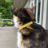 Cotton Cat Collars