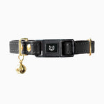 Leather Kitten Collars
