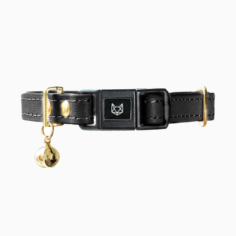 Leather Kitten Collars