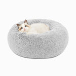 Cute cat in comfy soft calming cat bed