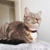 Breakaway Leather Cat Collar Image 4