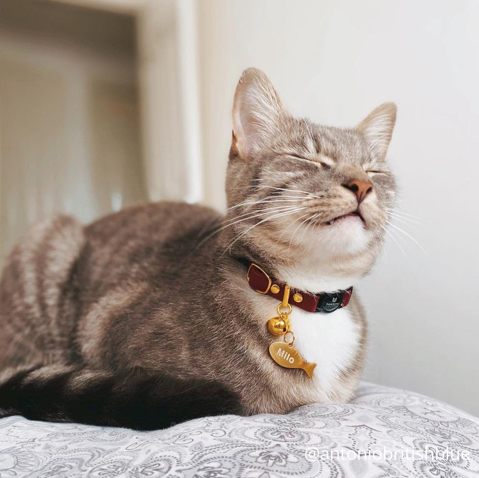Burgundy Leather Cat Collar