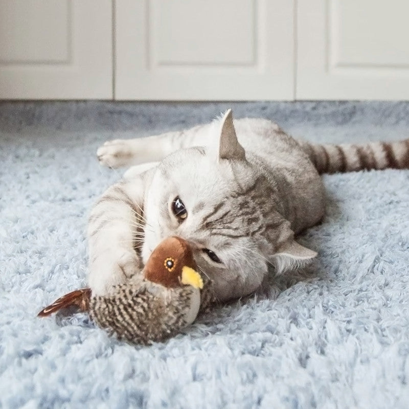 Chirping Bird Stimulation Toy