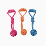 Bright Rope Ball Dog Toy