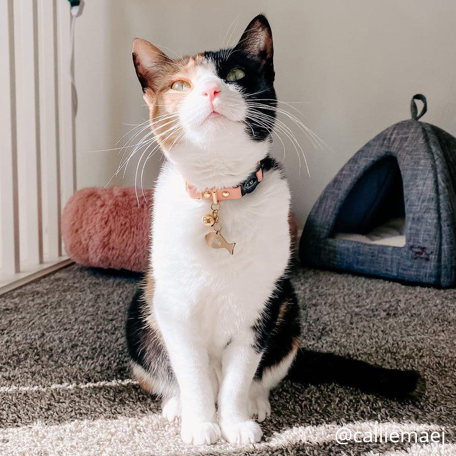 Peach Leather Cat Collar