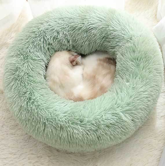 Light Green Calming Pet Bed