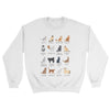 Cute Cat Breeds Sweatshirt - Pawsome Couture