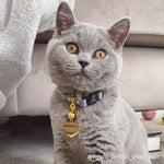 Slate Blue Leather Cat Collar