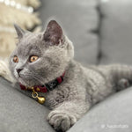 Burgundy Leather Cat Collar