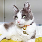 Blush Pink Leather Cat Collar