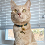 Pine Green Breakaway Leather Cat Collar Image 5