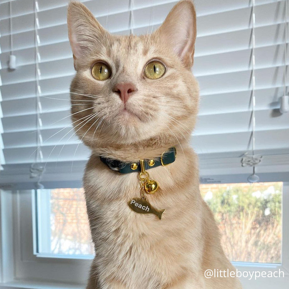 Pine Green Breakaway Leather Cat Collar Image 5