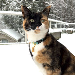 Flower Collar Charm