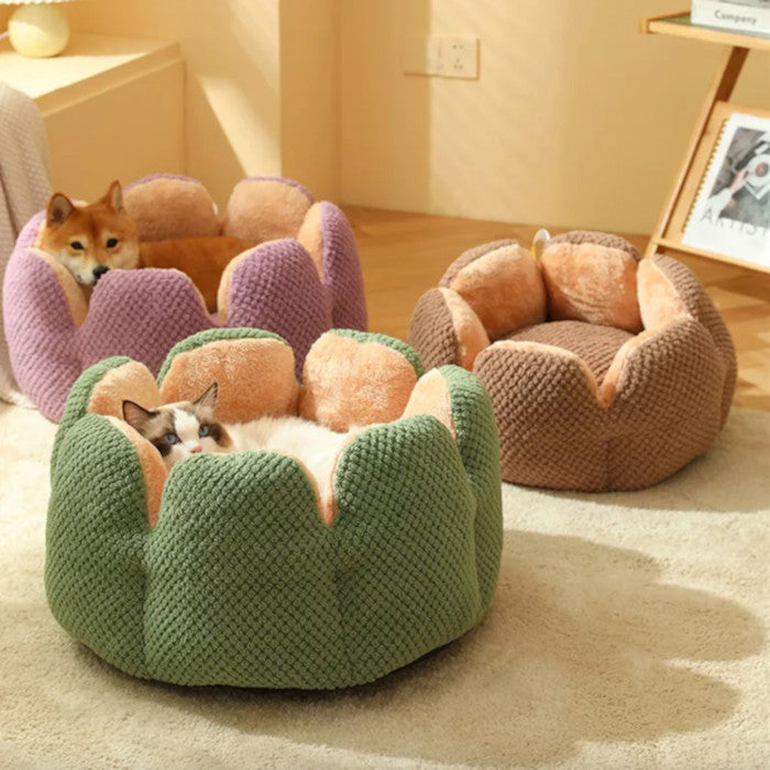 Plush Petal Pet Bed