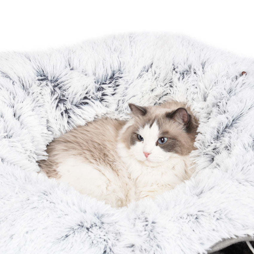 Collapsible Cat Tunnel Bed