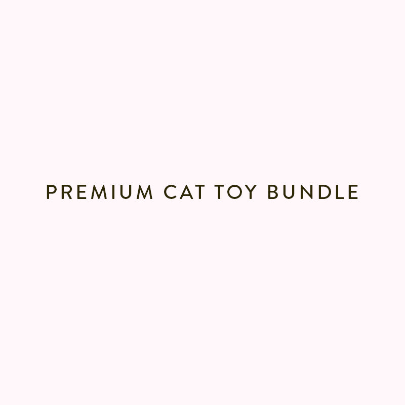 Premium Catnip Toy Set