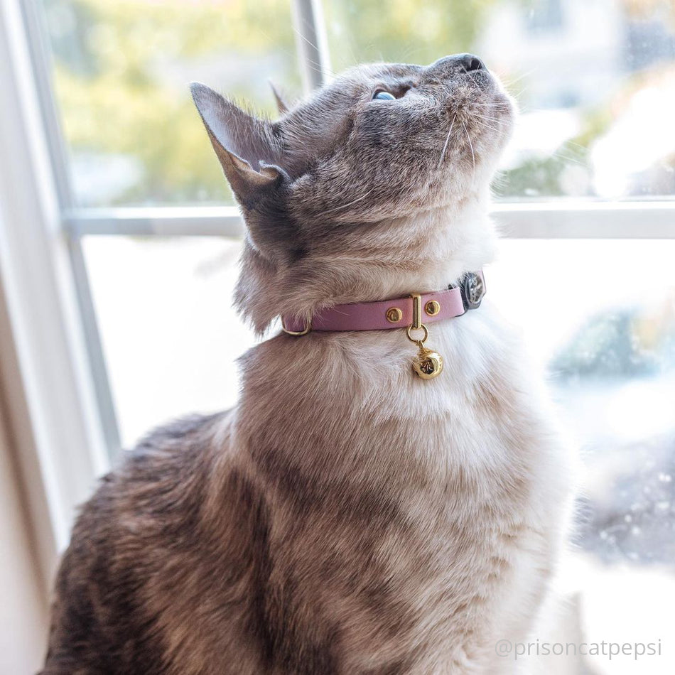 Blush Pink Leather Cat Collar
