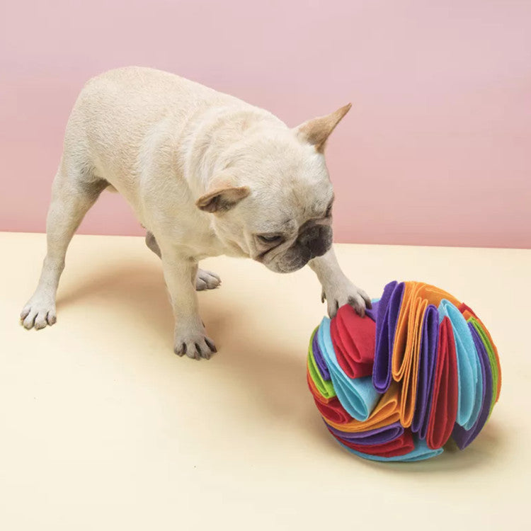 Dog Snuffle Puzzle Ball