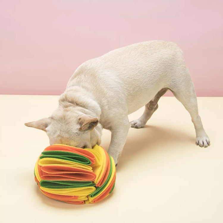 Dog Snuffle Puzzle Ball