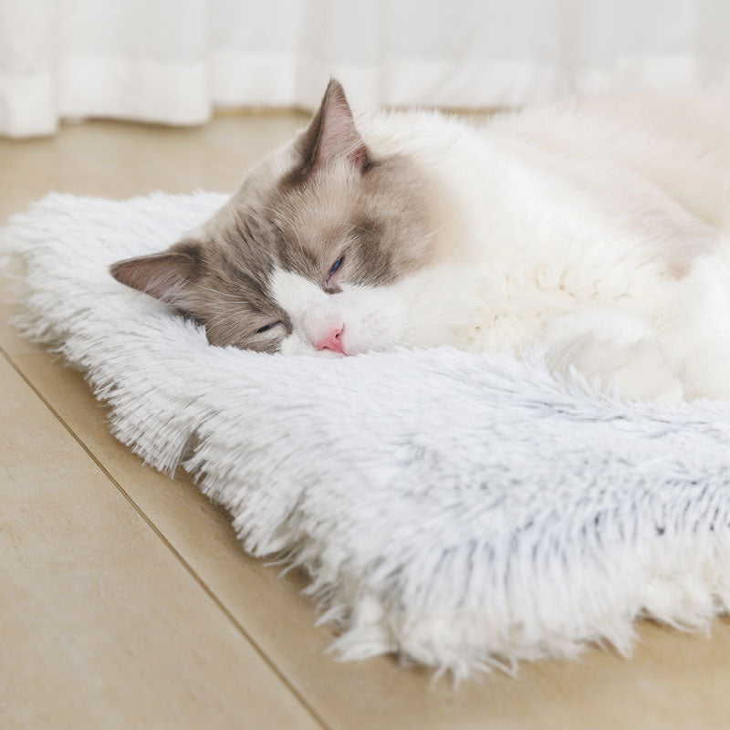 Cozy Fleece Pet Blanket